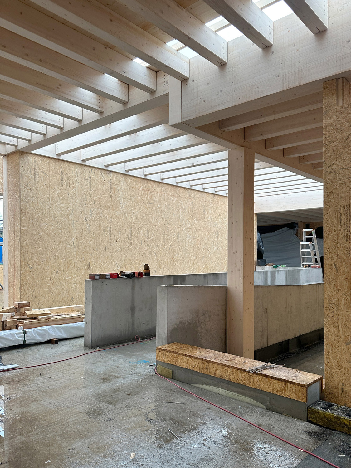 Wettbewerb | Erweiterung Waldschule | Walldorf